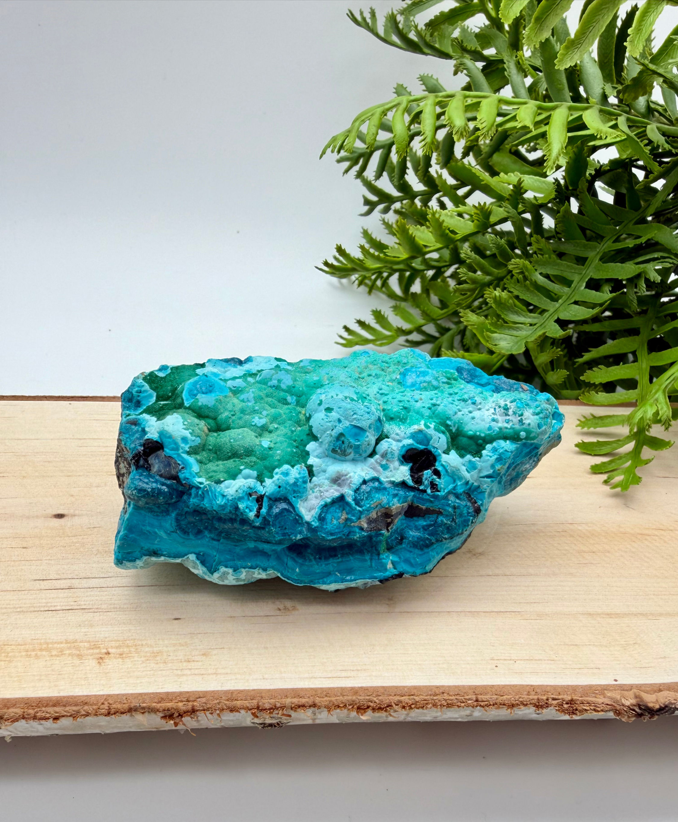 Chrysocolla (Sand Mine, Mindouli Congo, Africa)