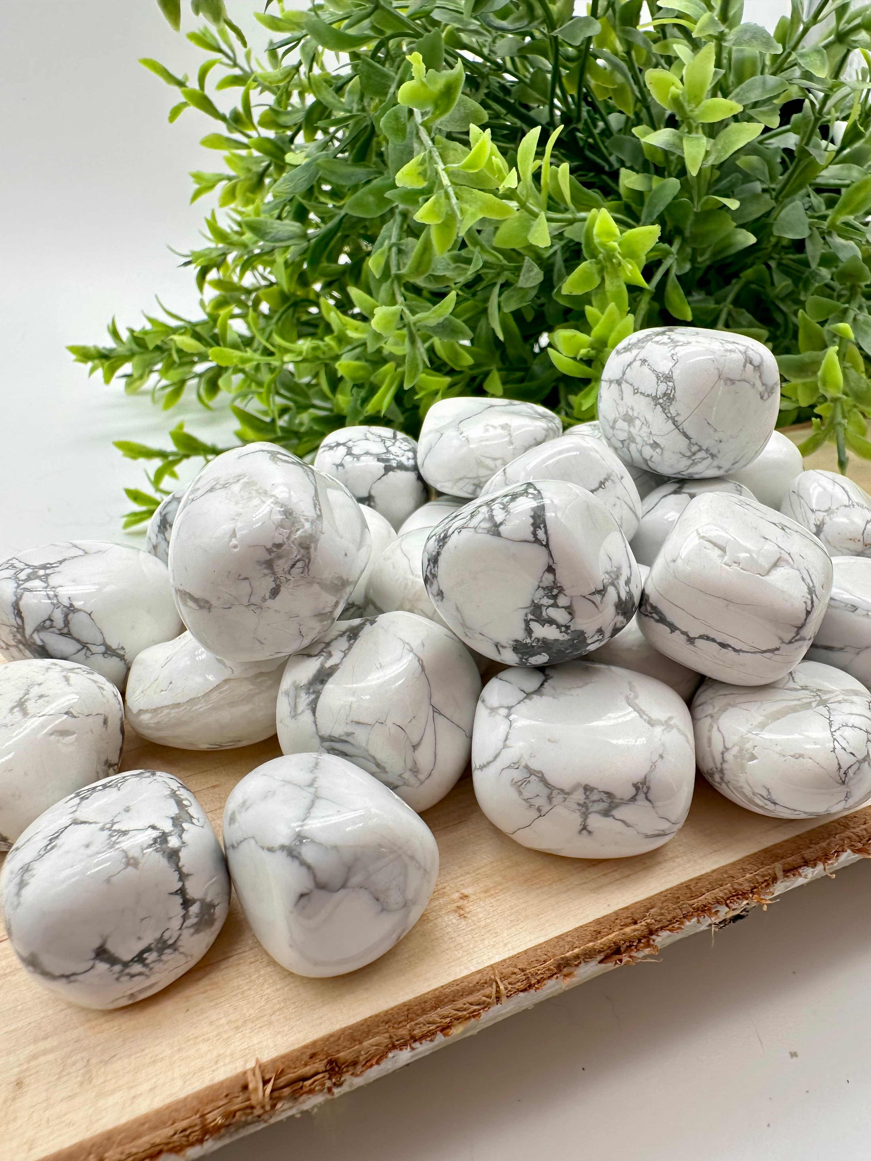 Howlite Magnesite Tumbles (Large)