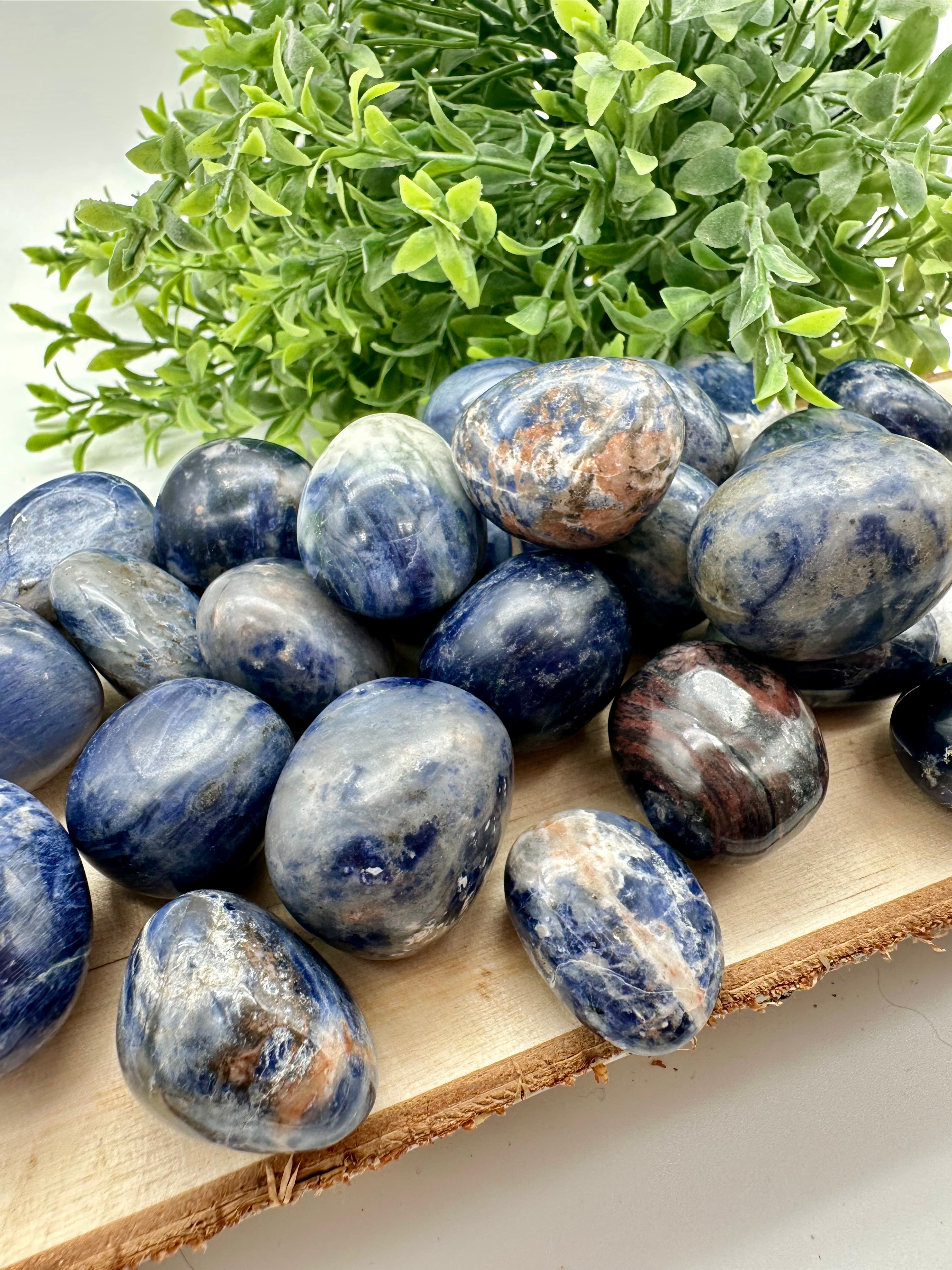 Sodalite Tumbles - India