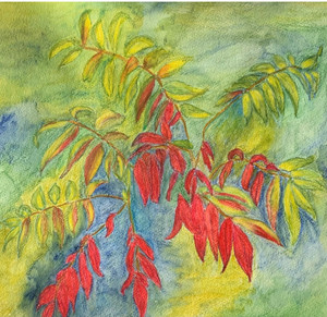 Catherine Daignault Ramsay - Terra Cotta Sumac