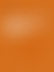 “Does studying abroad cause international labour mobility? Evidence from Italy”