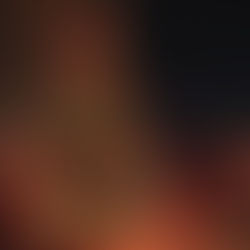 8 Things to See at the Toronto Christmas Market