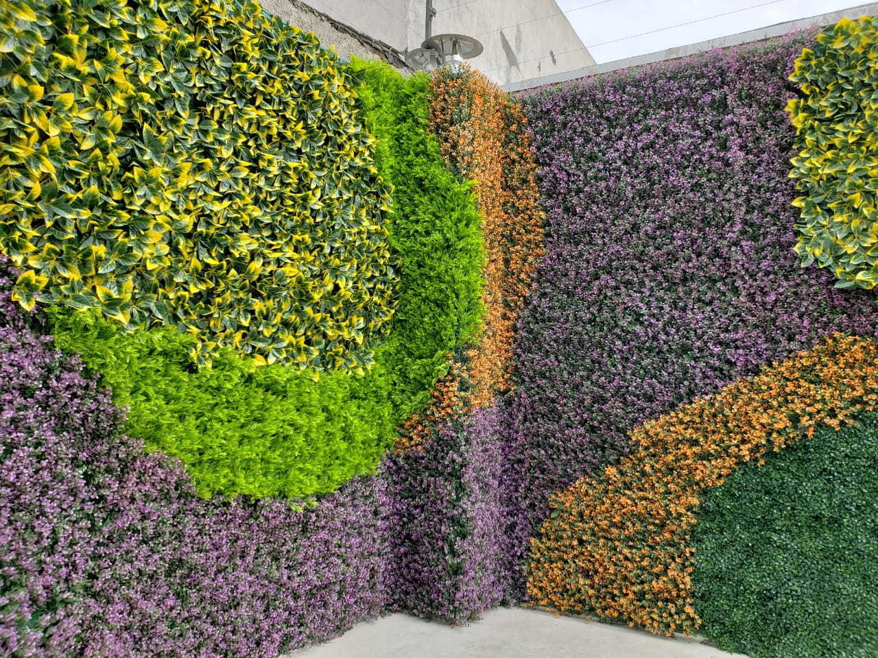 Diseño_exclusivo_de_muros_verdes_en_Tiju