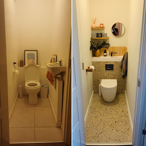 toilet_edited.jpg