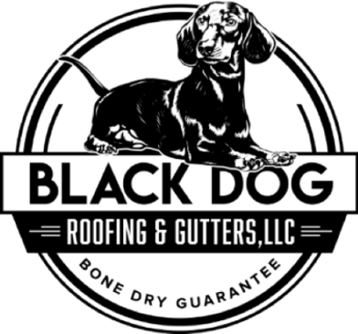 BLACK DOG ROOFING & GUTTERS_FINAL LOGO horizontal_edited.png