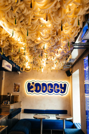 Decorative Ceiling at K'Doggy