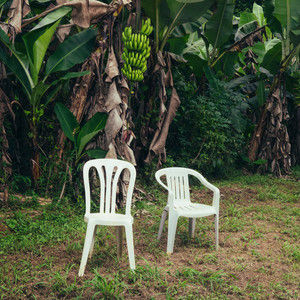 Album Cover of DeBÍ TiRAR MáS FOToS by Bad Bunny
