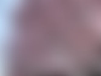 春のスケジュール