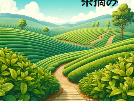   6月22日のオンラインライブ