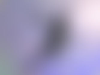 本日のおススメ曲~ピーターパン~