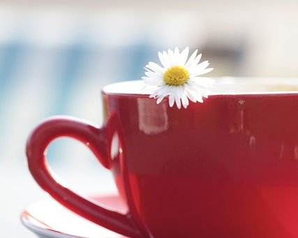 本日のおススメ音楽~主婦~