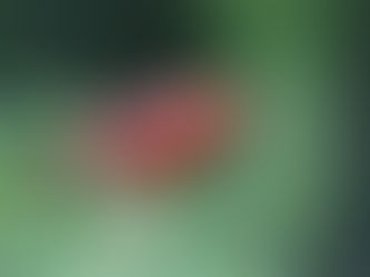  本日のおススメ曲～○○の日に因んで～