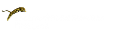 LFF-OS-FL-NEG.png