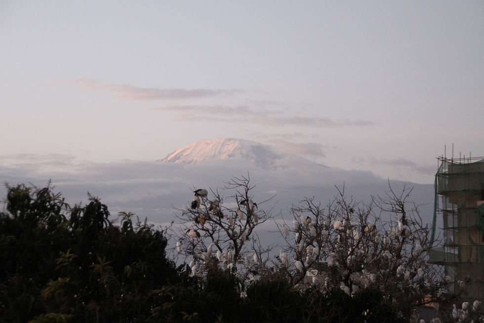 Kilimanjaro Mount