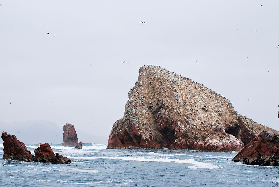 Islas Ballestas II