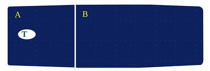 table 2 section simple.jpg