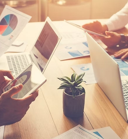 Introduction to SimpleEquity﻿, an Asset Division Software