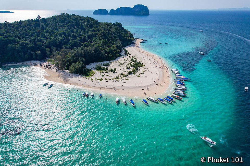 Bamboo island