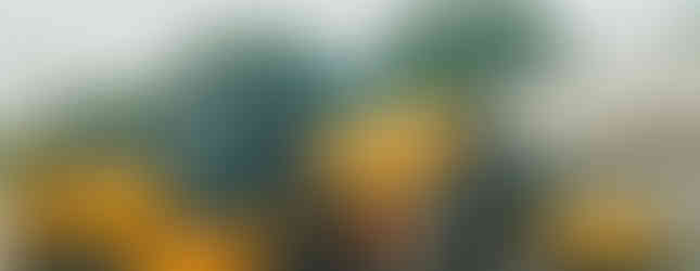 ฟอร์คลิฟท์ 12 ตัน