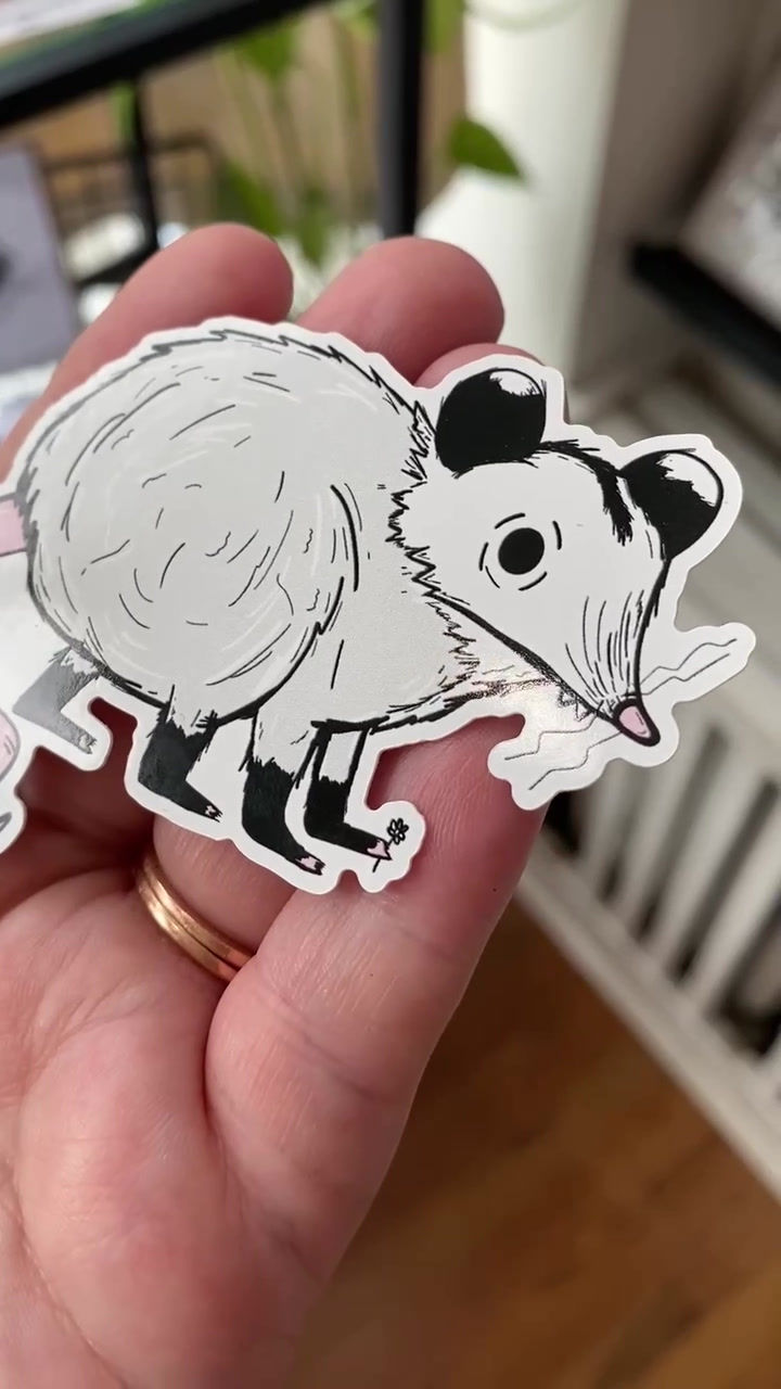 Miniatura: Opossum Sticker