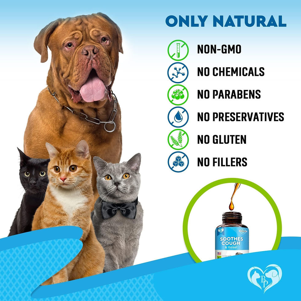 Thumbnail: Kennel Cough Treatment Natural Infection Medicine for Dog Cats Cold Cough Relief