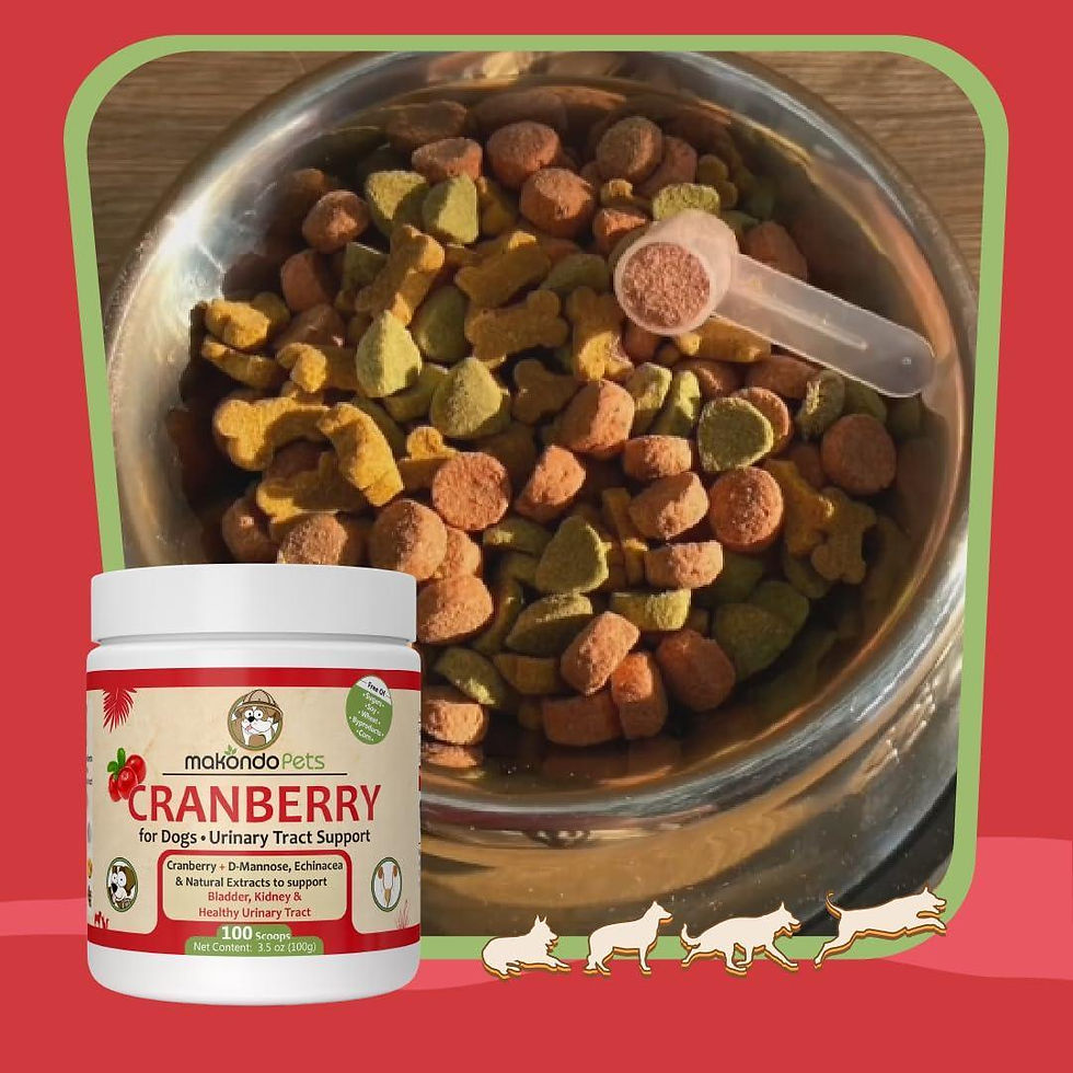Thumbnail: Dog Cranberry Supplement   Natural Dog UTI Treatment & Kidney Support for Dogs.