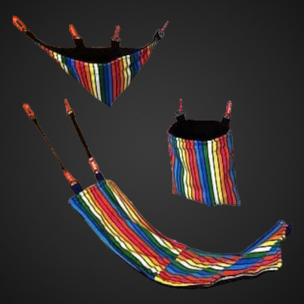 Thumbnail: RAINBOW 1 SUGAR GILDER CAGE SET
