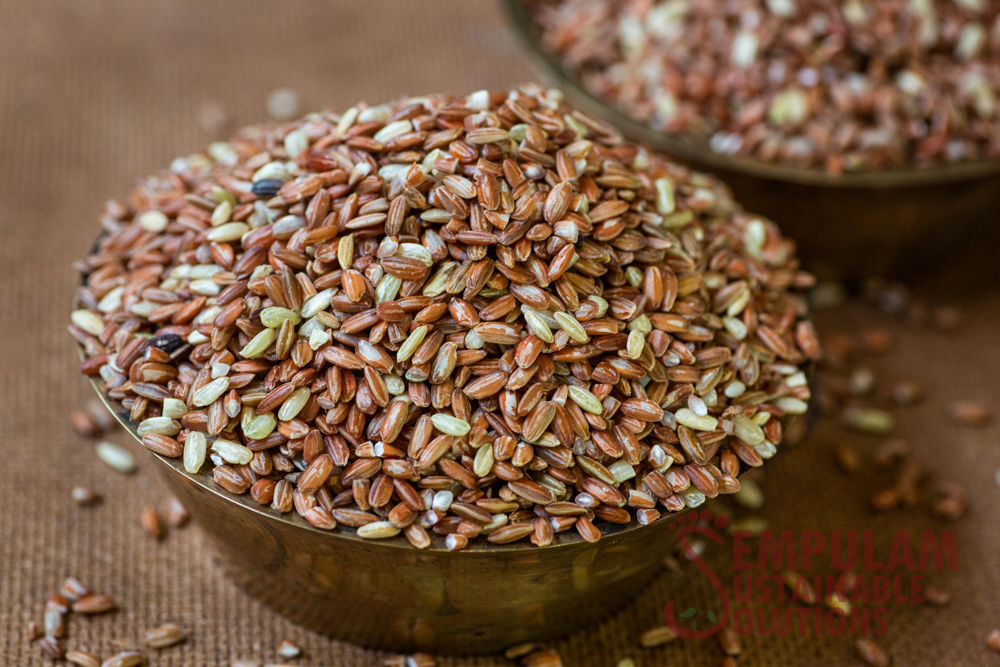 Neelan Samba (Raw Rice) / நீலன் சம்பா (பச்சரிசி) - 500g