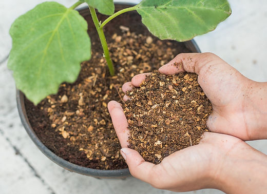 fertilizer for pot plants Transform Your Potted Plants with Long-Lasting Fertilizer Cones – The Farm  Dream main image 1