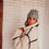 Miniature : Bonnet GRIS chiné coeur brodé léopard