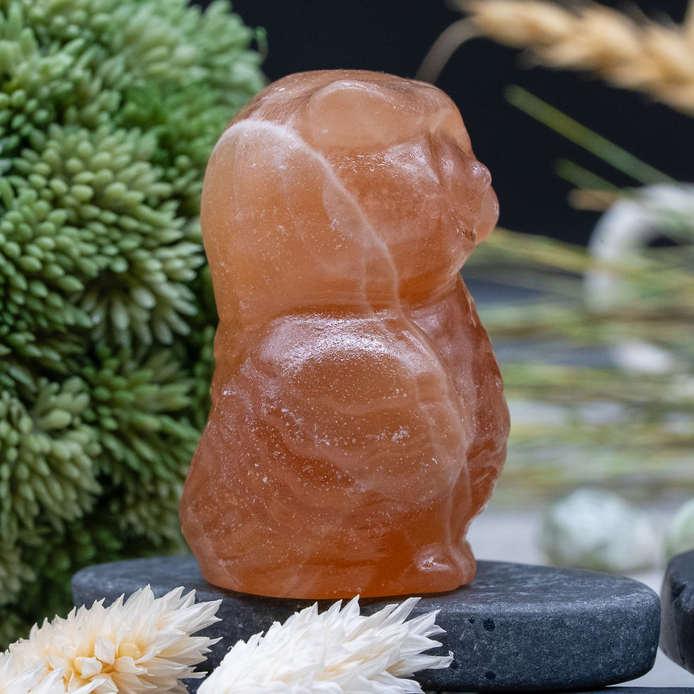 Miniatura: Honey Calcite Owl Crystal Figurine Spiritual Wisdom Animal Shaped Decor Gift