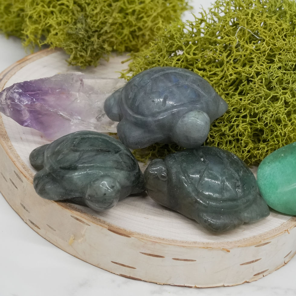 Miniatura: Labradorite Mini Turtle Crystal Figurine Spiritual Healing Decor Gift Stone