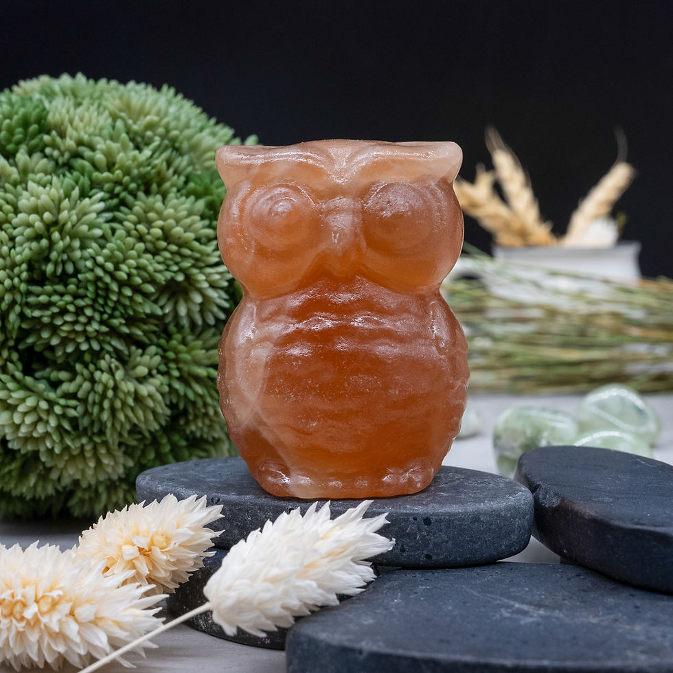 Miniatura: Honey Calcite Owl Crystal Figurine Spiritual Wisdom Animal Shaped Decor Gift