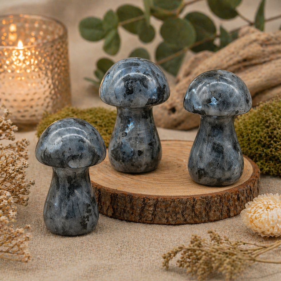 Miniatura: Larvikite Mushroom Crystal Sculpture Healing Stone Energy Decor Spiritual Gift