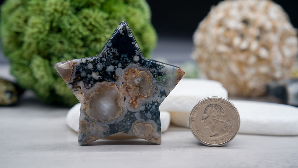 Miniatura: Black Flower Agate Crystal Star Spiritual Healing Meditation Pocket Stone Decor