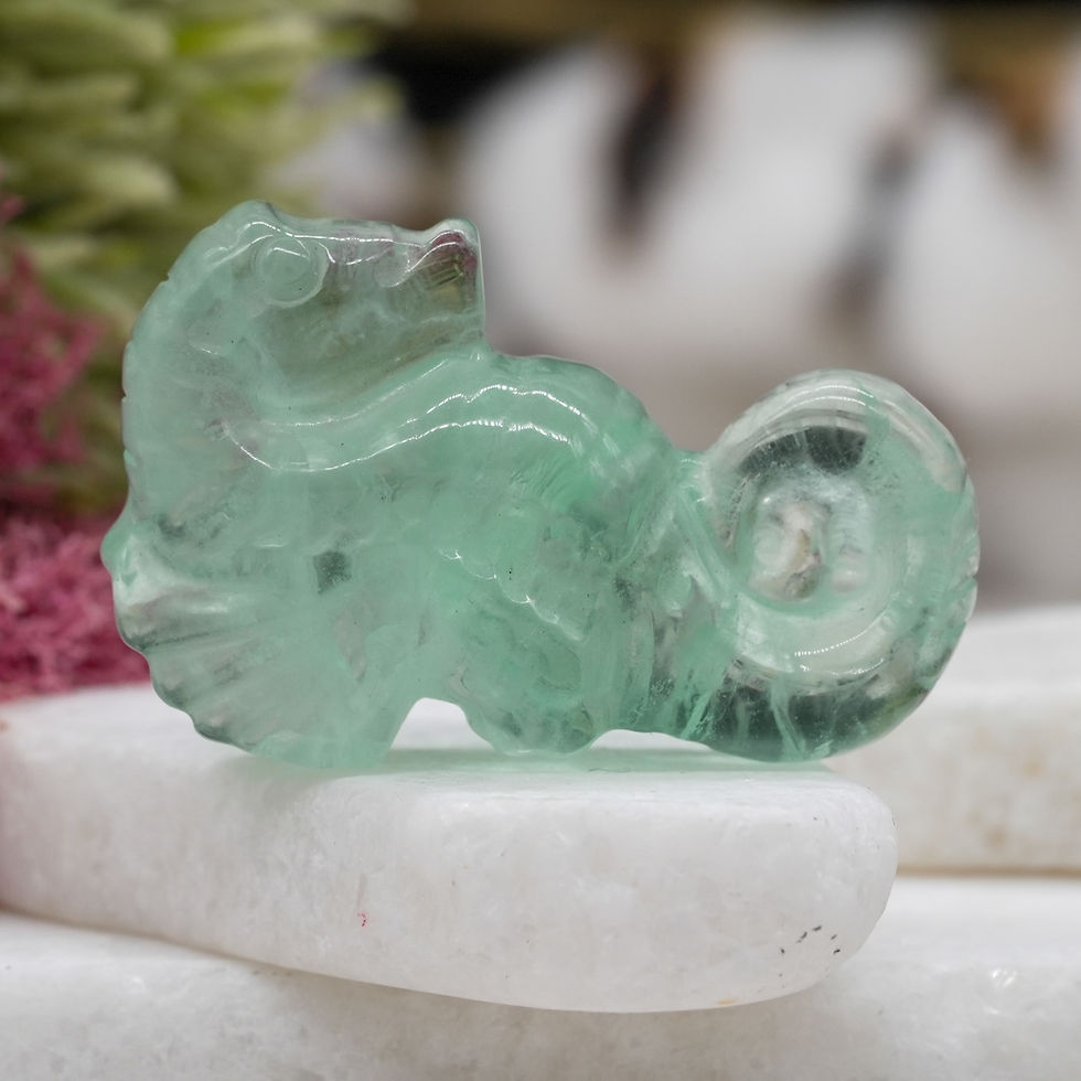 Miniatura: Green Fluorite Crystal Seahorse Carving Healing Protection Ocean Animal Decor