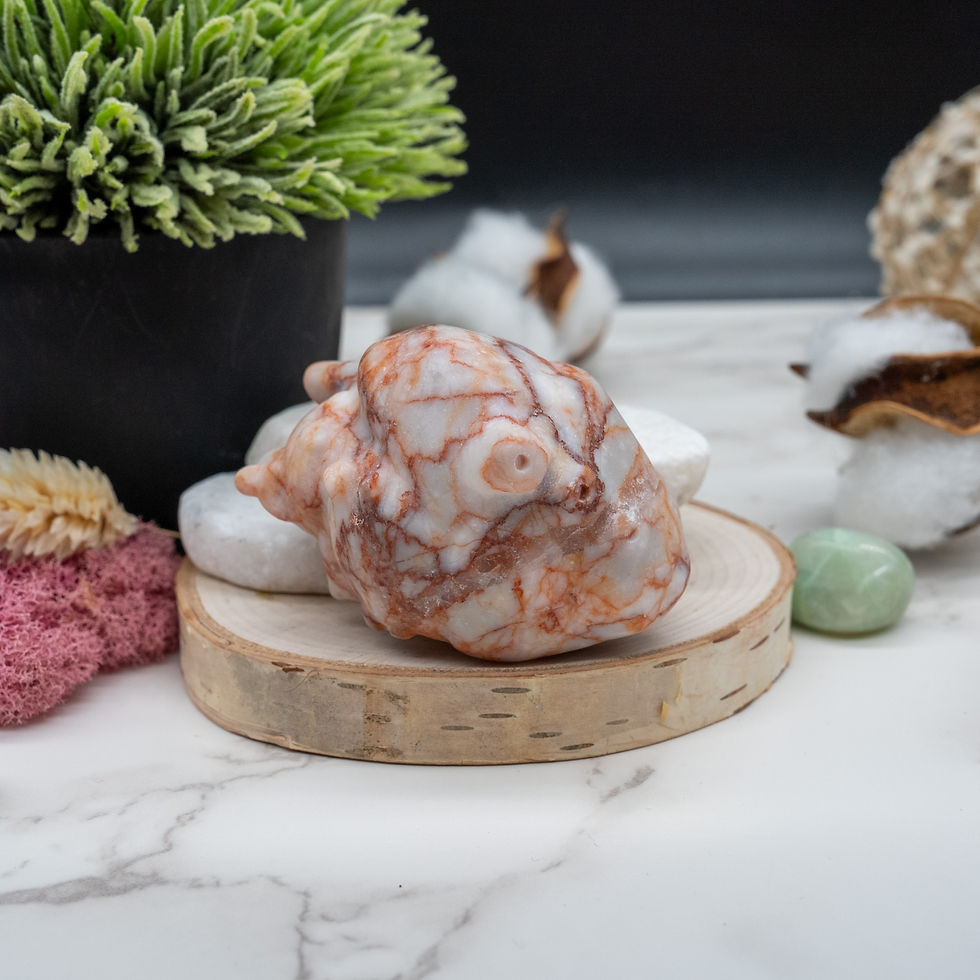 Miniatura: Red Network Jasper Anatomical Heart Crystal Healing Decor Spiritual Gift Stone