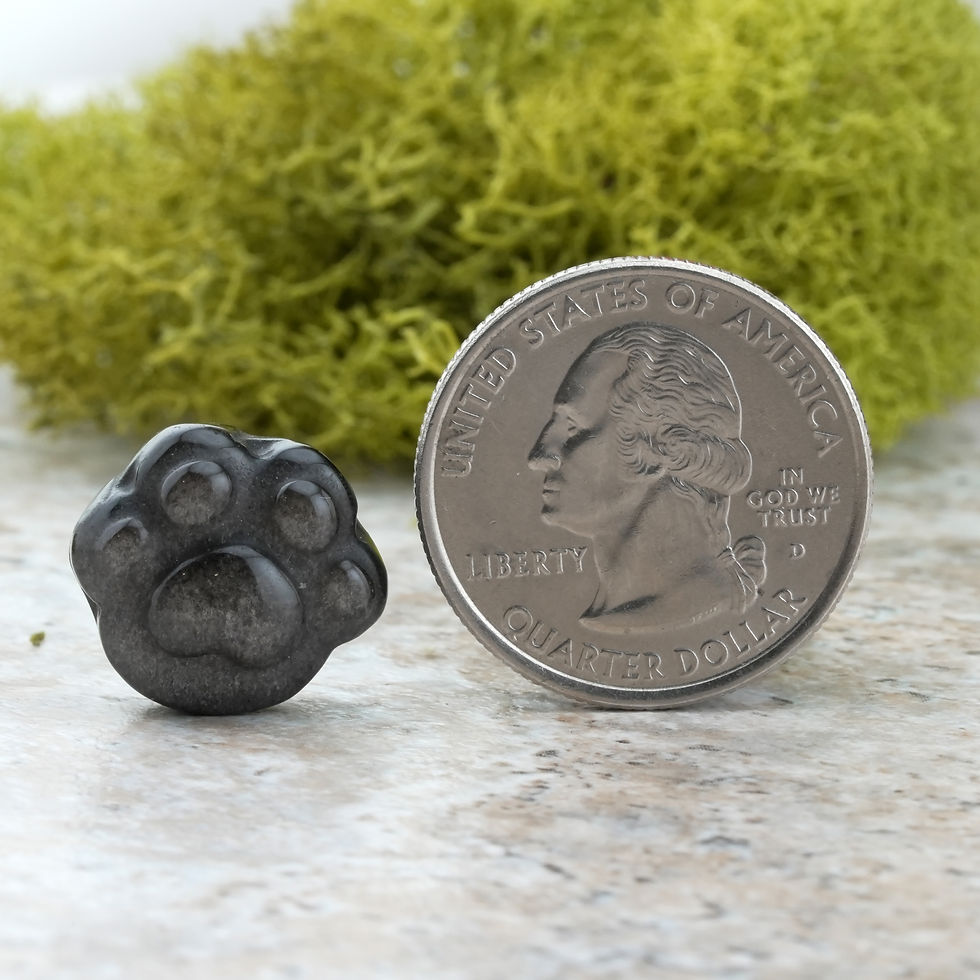 Miniatura: Silver Obsidian Mini Cat Paw Crystal Dog Pet Memorial Decor Keepsake Gift