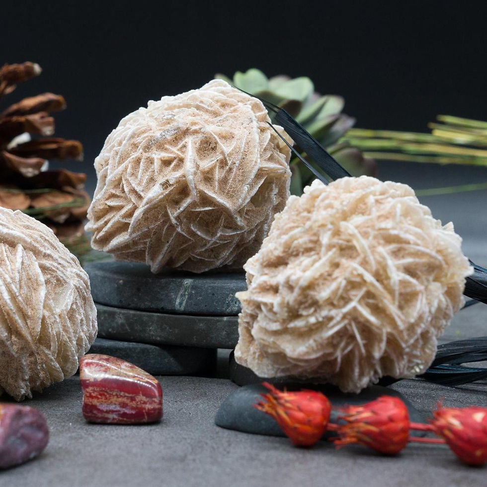 Thumbnail: Round Desert Rose Natural Fossilized Plant Specimen Nature Flower Office Decor