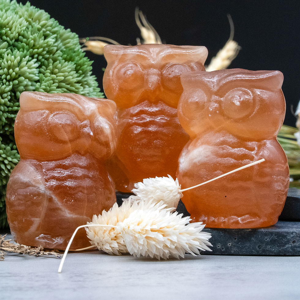 Miniatura: Honey Calcite Owl Crystal Figurine Spiritual Wisdom Animal Shaped Decor Gift