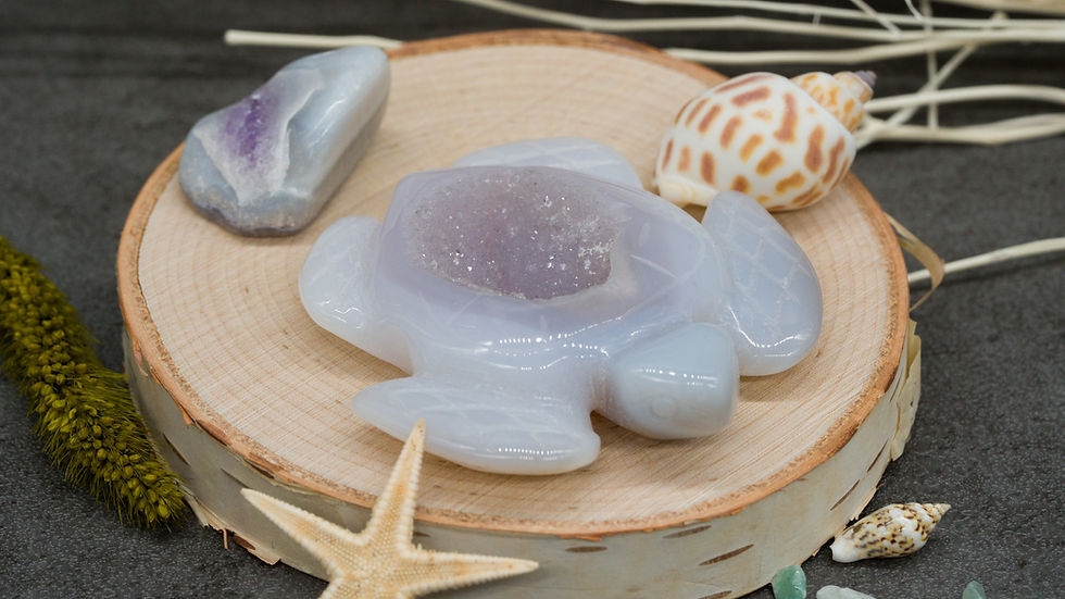 Miniatura: Sugar Druzy Geode Agate Crystal Carving Cute Turtle Figurine Gemstone Trinket