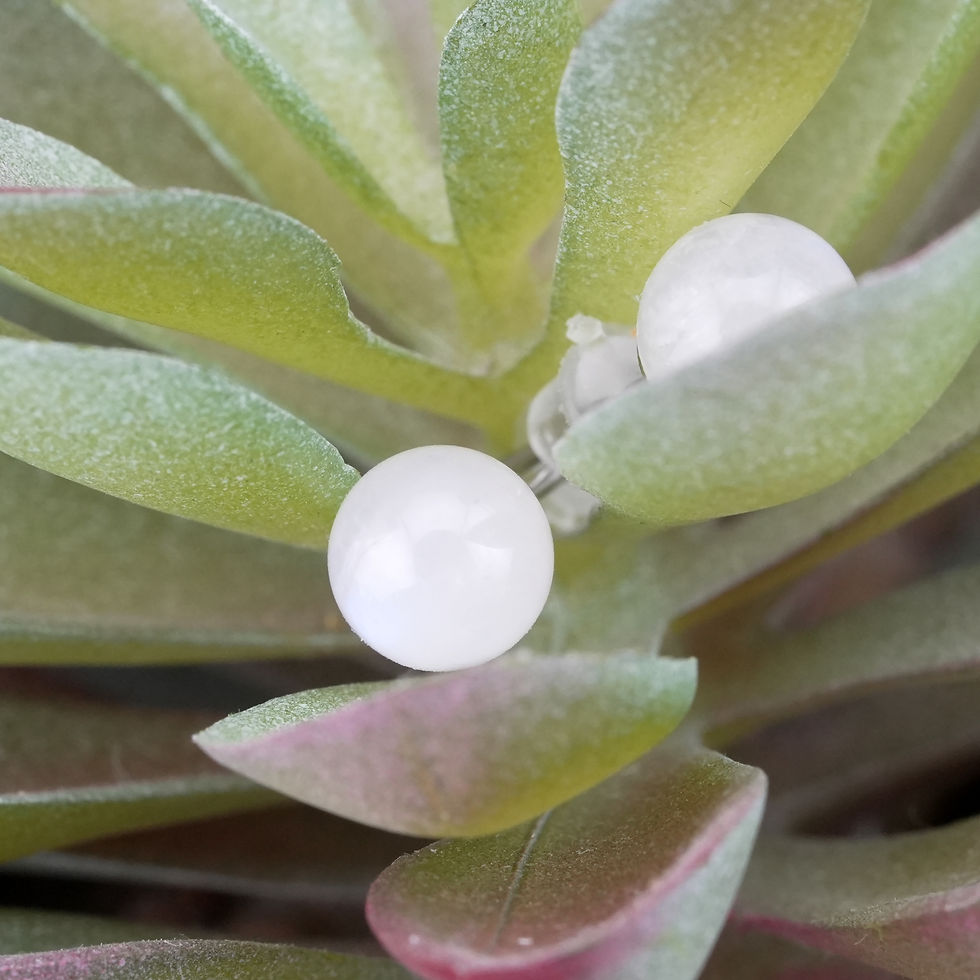 Miniatura: Moonstone Sphere Stud Silver Earrings Crystal Jewelry Gift Lunar Energy  Stone