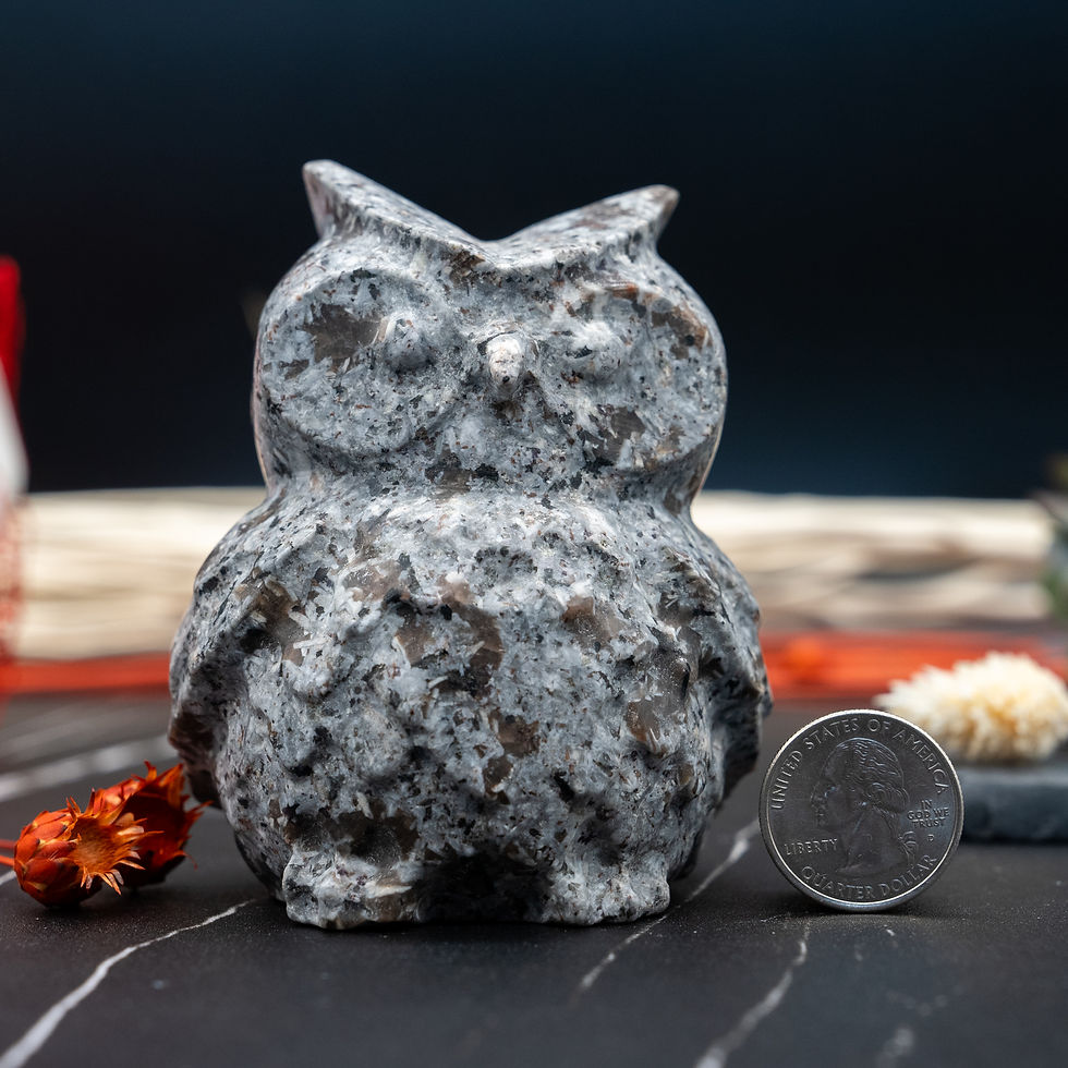 Miniatura: Yooperlite Crystal Owl Carving UV Reactive Stone Gift Forest Animal Home Decor