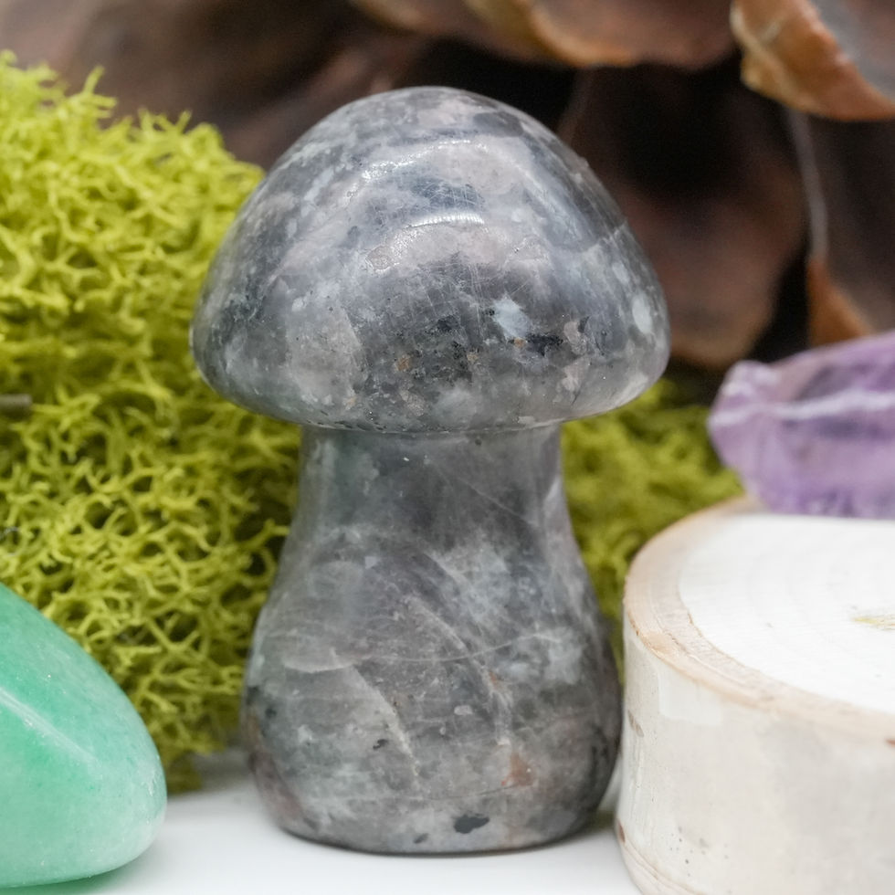 Miniatura: Yooperlite Crystal Mushroom Sculpture UV Reactive Stone Boho Home Decor Gift