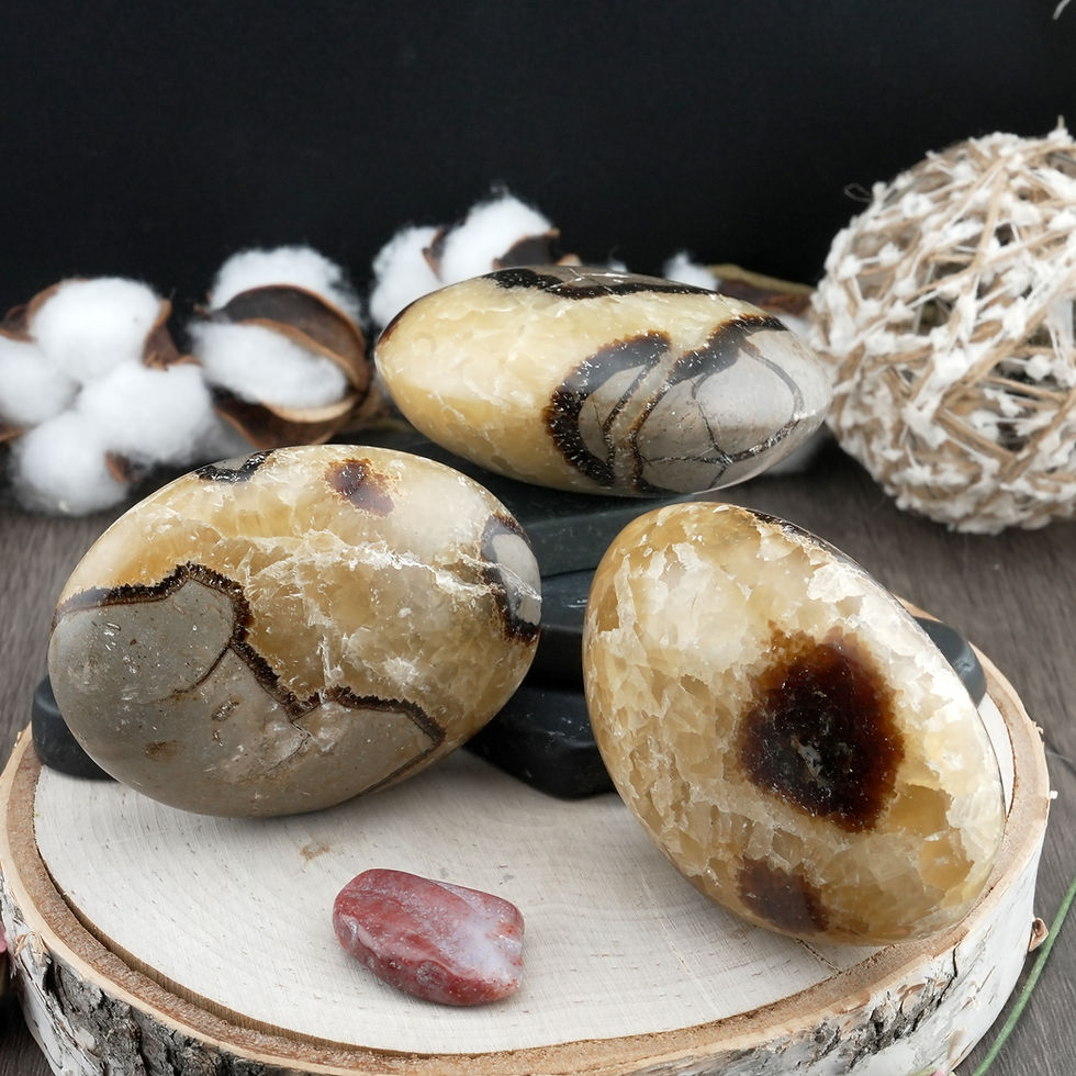 Thumbnail: Septarian Palm Stone UV Reactive Crystal Gift Spiritual Protection Dragon Stone
