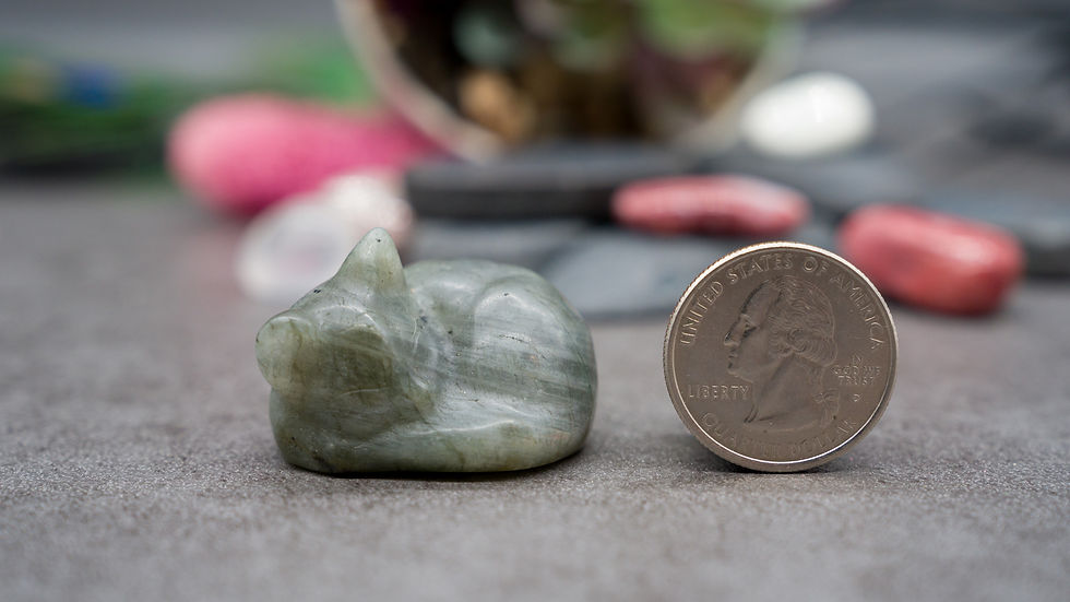 Miniatura: Labradorite Natural Crystal Sleeping Cat Carving Protection Trinket Pet Memory