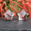 Thumbnail: Natural Fire Quartz Crystal Puffy Star Stud Earrings 925 Silver Jewelry Gift