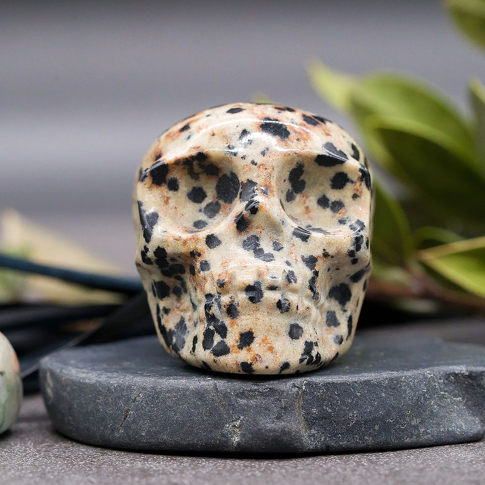 Thumbnail: Natural Dalmatian Jasper Crystal Skull Carving Figurine Spiritual Healing