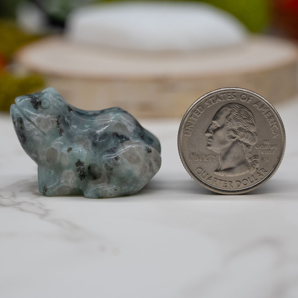 Miniatura: Kiwi Jasper Crystal Frog Carving Terrarium Decor Animal Figurine Gemstone Gift