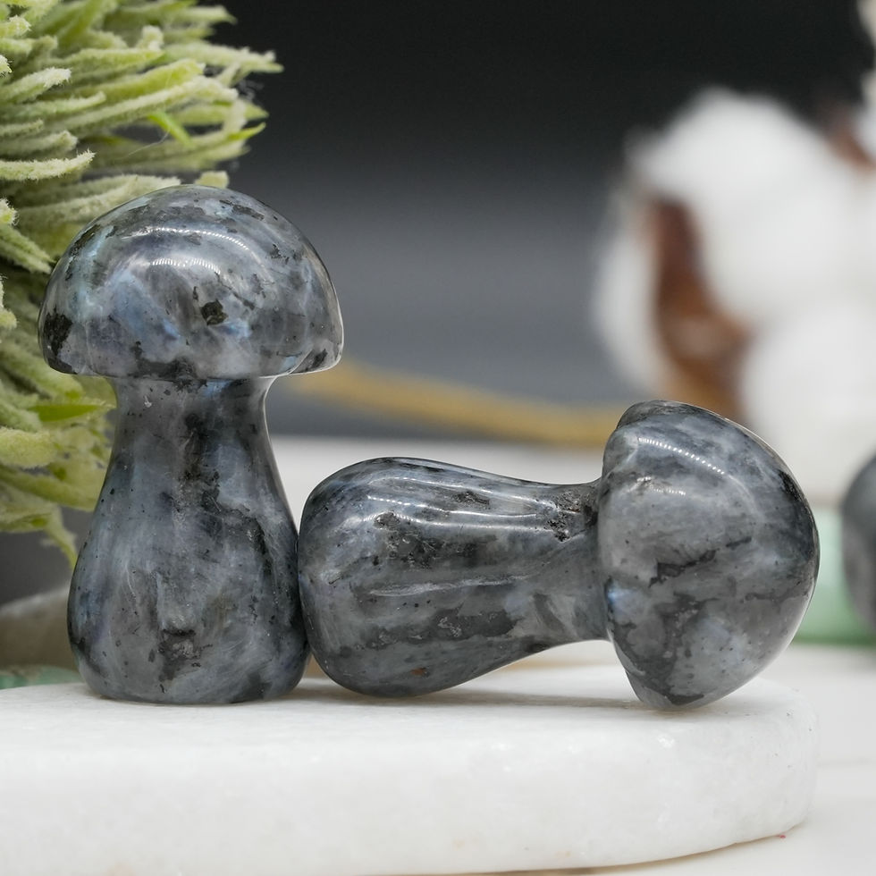 Miniatura: Larvikite Mushroom Crystal Sculpture Healing Stone Energy Decor Spiritual Gift